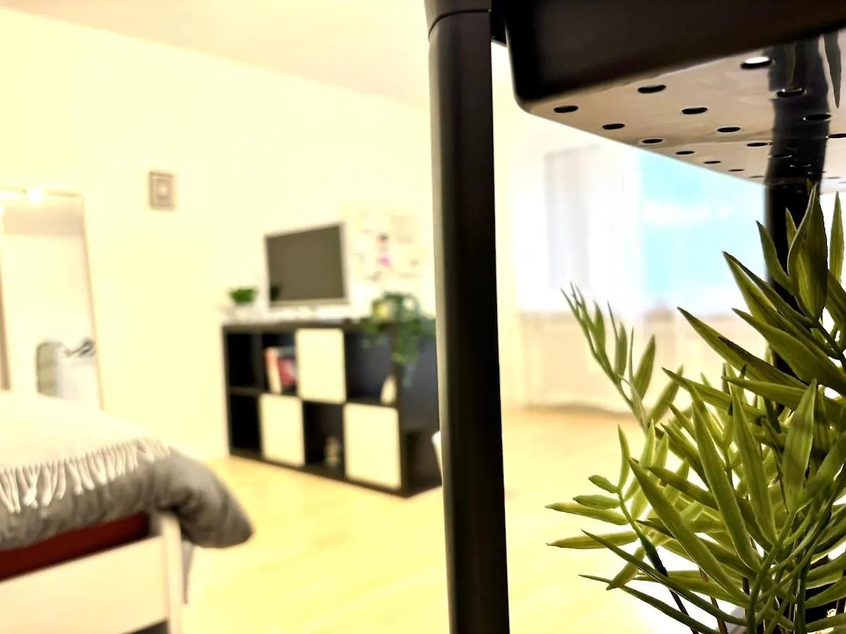 Apartment With 2 Balconies In נירנברג גרמניה